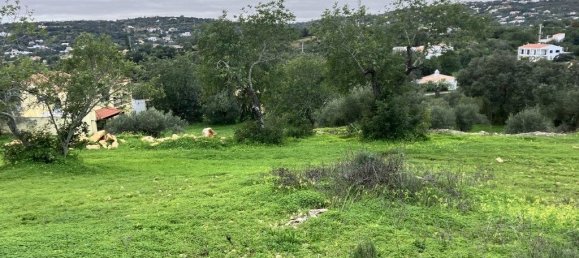 5720m² Land in Faro, Portugal No. 39906 5