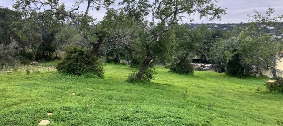 5720m² Land in Faro, Portugal No. 39906 4