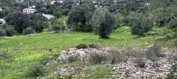 5720m² Land in Faro, Portugal No. 39906 6