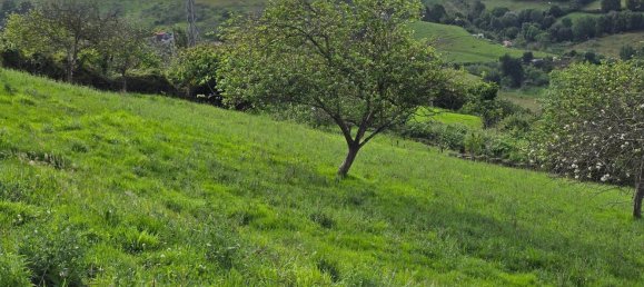 Terrain à Gijon, Spain No. 164457 7