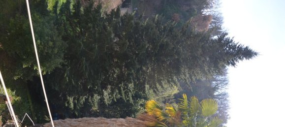 4غرفة شقة في Soriano nel Cimino, Italy رقم 286640 8