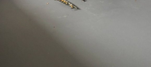 Imóvel comercial em Ponzano Veneto, Italy 203 m² N.º 167437 7