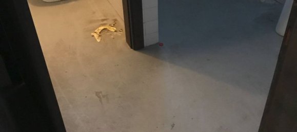 Imóvel comercial em Ponzano Veneto, Italy 203 m² N.º 167437 10