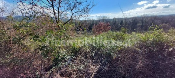 5 bedrooms House in Lamporecchio, Italy No. 100819 17