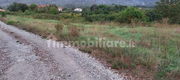 5 bedrooms House in Lamporecchio, Italy No. 100819 15