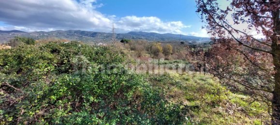 5 bedrooms House in Lamporecchio, Italy No. 100819 6