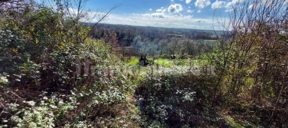 5 bedrooms House in Lamporecchio, Italy No. 100819 7