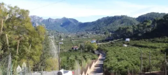  Land in Alzira, Spain No. 97164 9