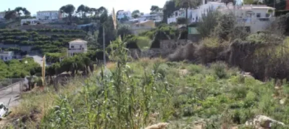  Land in Alzira, Spain No. 97164 13