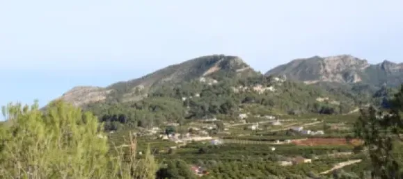  Land in Alzira, Spain No. 97164 19