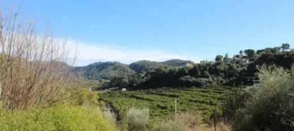  Land in Alzira, Spain No. 97164 17