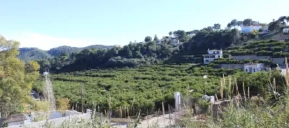  Land in Alzira, Spain No. 97164 10