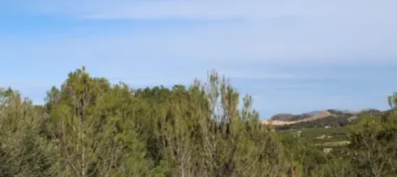  Land in Alzira, Spain No. 97164 20