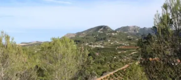  Land in Alzira, Spain No. 97164 21