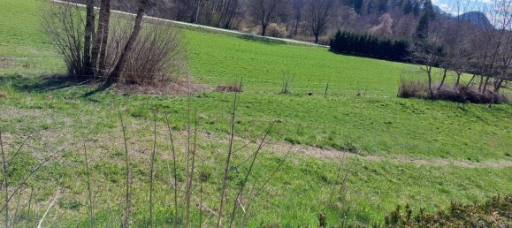  قطعة أرض في Schiefling am Worthersee, Austria رقم 22103 6