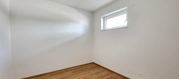 3-Zimmer Gewerbliche Immobilie in Aschach an der Steyr, Austria, Nr. 26231 5