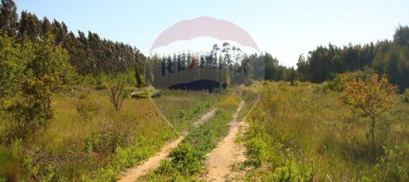 Земельный участок 10245м² в Авейру, Португалия № 64367 6