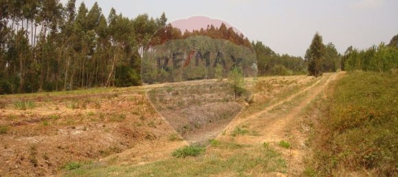 Земельный участок 10245м² в Авейру, Португалия № 64367 8