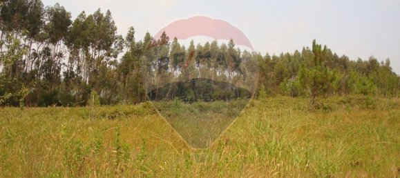 Земельный участок 10245м² в Авейру, Португалия № 64367 2