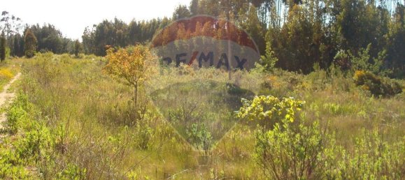 Земельный участок 10245м² в Авейру, Португалия № 64367 7