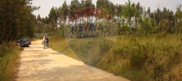 Земельный участок 10245м² в Авейру, Португалия № 64367 3