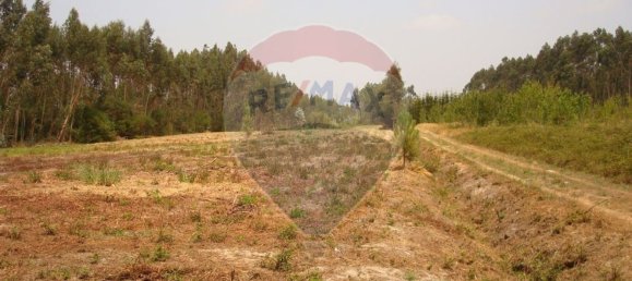 Земельный участок 10245м² в Авейру, Португалия № 64367 4