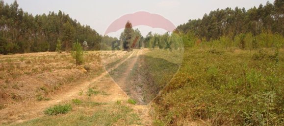 Земельный участок 10245м² в Авейру, Португалия № 64367 10