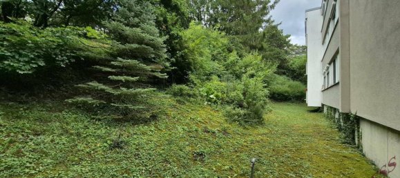 2 rooms Apartment in Bad Voslau, Austria No. 257130 5