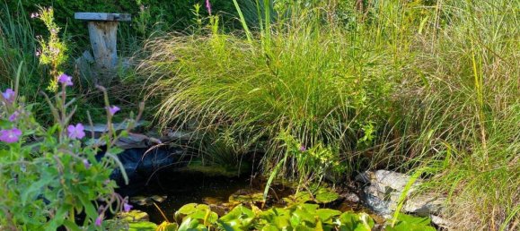 Bungalow de 3 habitaciónes en Kottingbrunn, Austria No. 222297 10