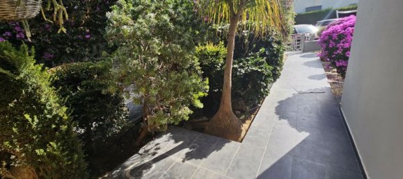 5 chambres Villa à Germasogeia, Cyprus No. 17853 28