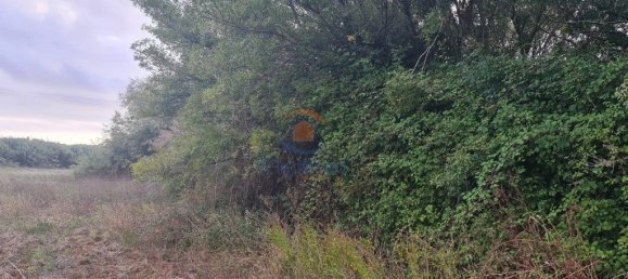 Grundstück in Torres Vedras, Portugal 6000m², Nr. 343657 2