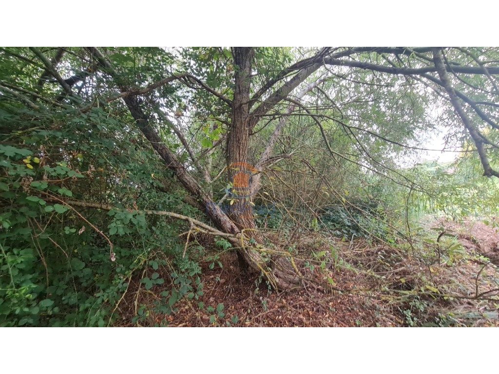 6000m² Land in Torres Vedras, Portugal No. 343657