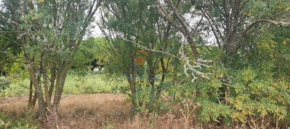 Grundstück in Torres Vedras, Portugal 6000m², Nr. 343657 3