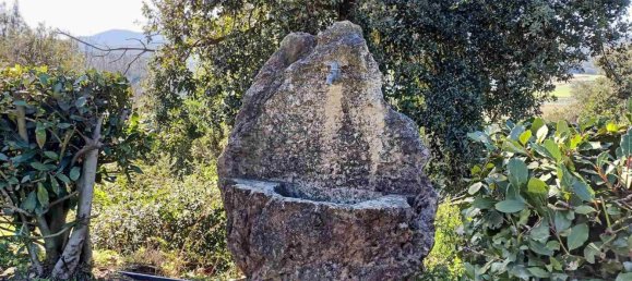 18 rooms House in Massa Marittima, Italy No. 221934 13