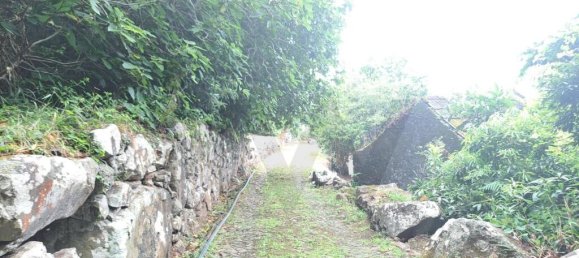 Grundstück in Sao Vicente, Portugal 2353m², Nr. 219158 11