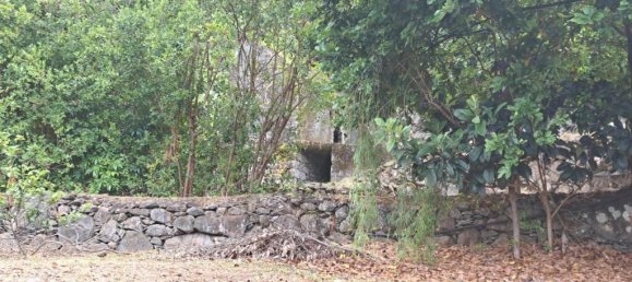 Grundstück in Sao Vicente, Portugal 2353m², Nr. 219158 16