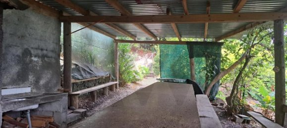 Grundstück in Sao Vicente, Portugal 2353m², Nr. 219158 15