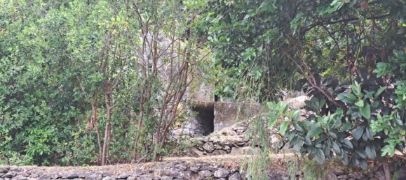 Grundstück in Sao Vicente, Portugal 2353m², Nr. 219158 6