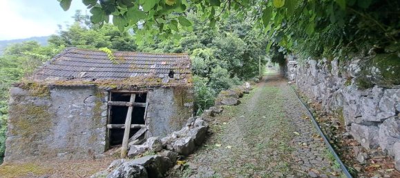 Grundstück in Sao Vicente, Portugal 2353m², Nr. 219158 3