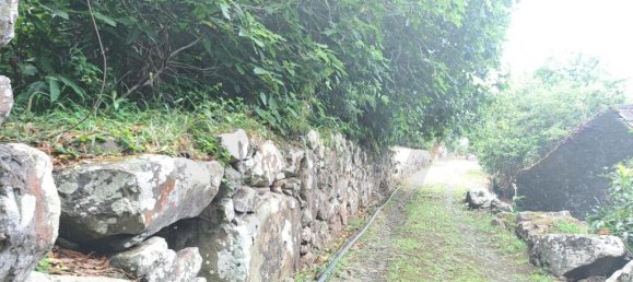 Grundstück in Sao Vicente, Portugal 2353m², Nr. 219158 10