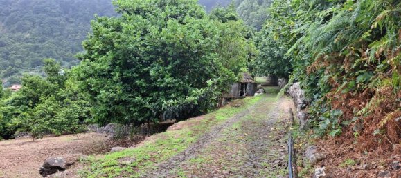 Grundstück in Sao Vicente, Portugal 2353m², Nr. 219158 7