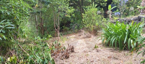 Grundstück in Sao Vicente, Portugal 2353m², Nr. 219158 17