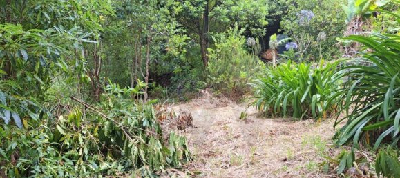 Grundstück in Sao Vicente, Portugal 2353m², Nr. 219158 18