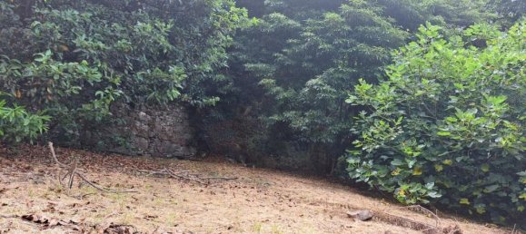 Grundstück in Sao Vicente, Portugal 2353m², Nr. 219158 12