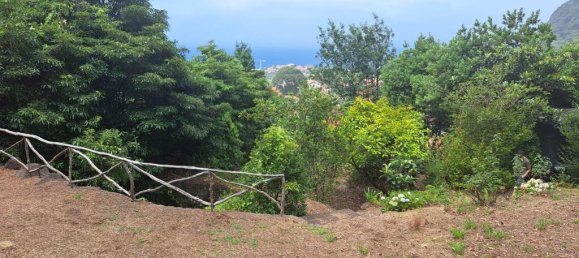 Grundstück in Sao Vicente, Portugal 2353m², Nr. 219158 8