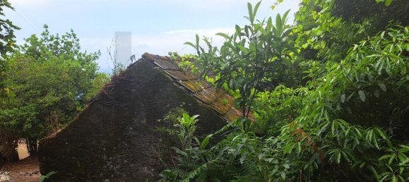 Grundstück in Sao Vicente, Portugal 2353m², Nr. 219158 4