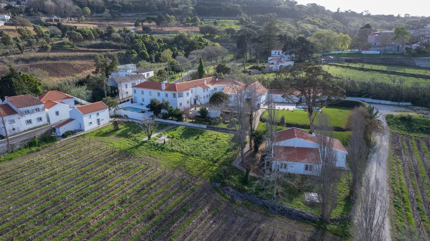14 chambres Maison à Colares, Portugal No. 144643