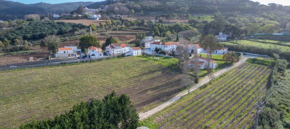 14 chambres Maison à Colares, Portugal No. 144643 12