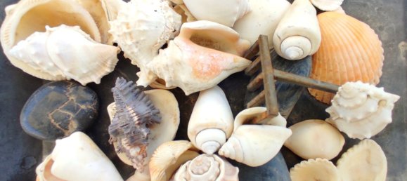 3 غرف نوم فيلا في Coin, Spain رقم 133945 19