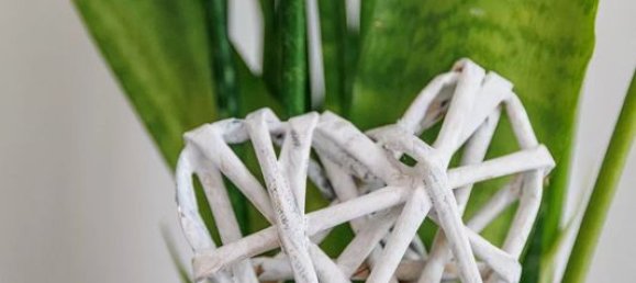 2 Schlafzimmer Wohnung in Nice, France, Nr. 338508 10